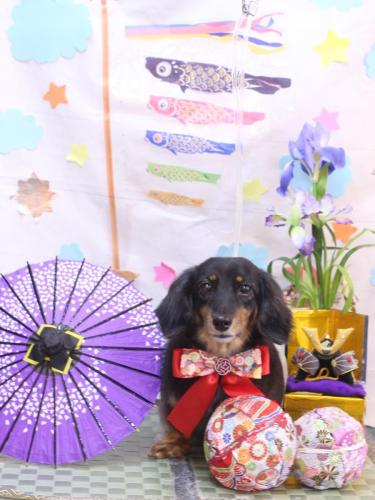 20240530モカちゃん